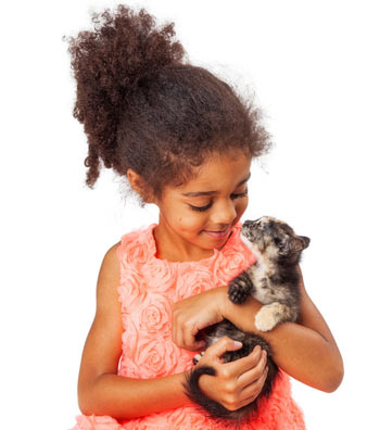 Certain cat breeds are known for being good with kids.