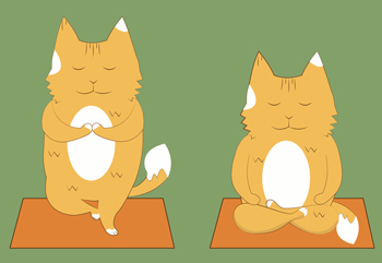 Cats have different requirements for achieving Zen-like peace than humans.