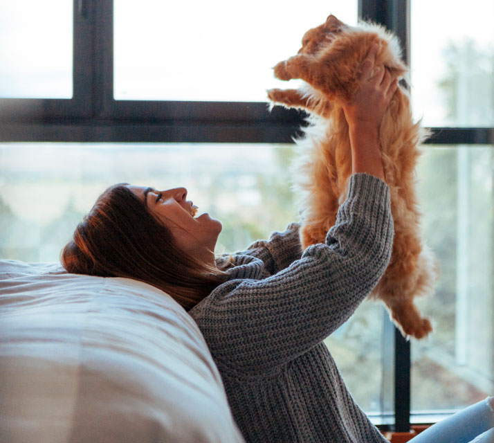 Find out whether you or your cat is the boss in your home.