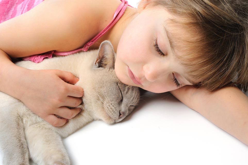 Keeping your cat healthy is easier with good pet insurance.