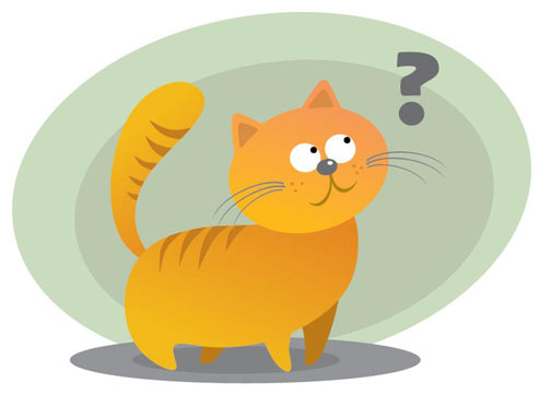 Take the quiz to test your knowledge of foods toxic to cats.