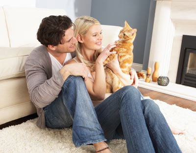 Use knowledge and good products to end problem cat scratching.