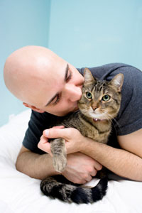 cat_pain_management