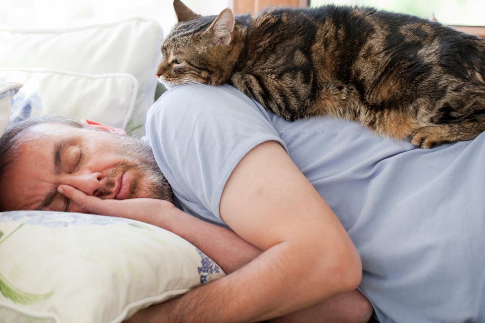 Why do cats jump on people while they’re asleep?