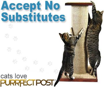 PurrfectPost.com - Accept No Substitutes