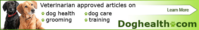 Veterinarian approved articles dog health