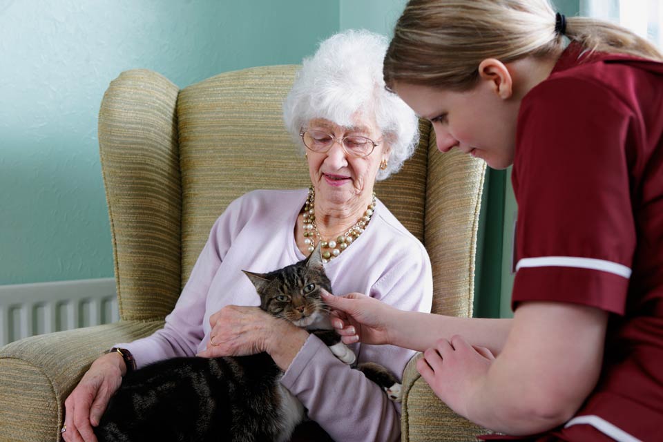 Cats can help elderly people.