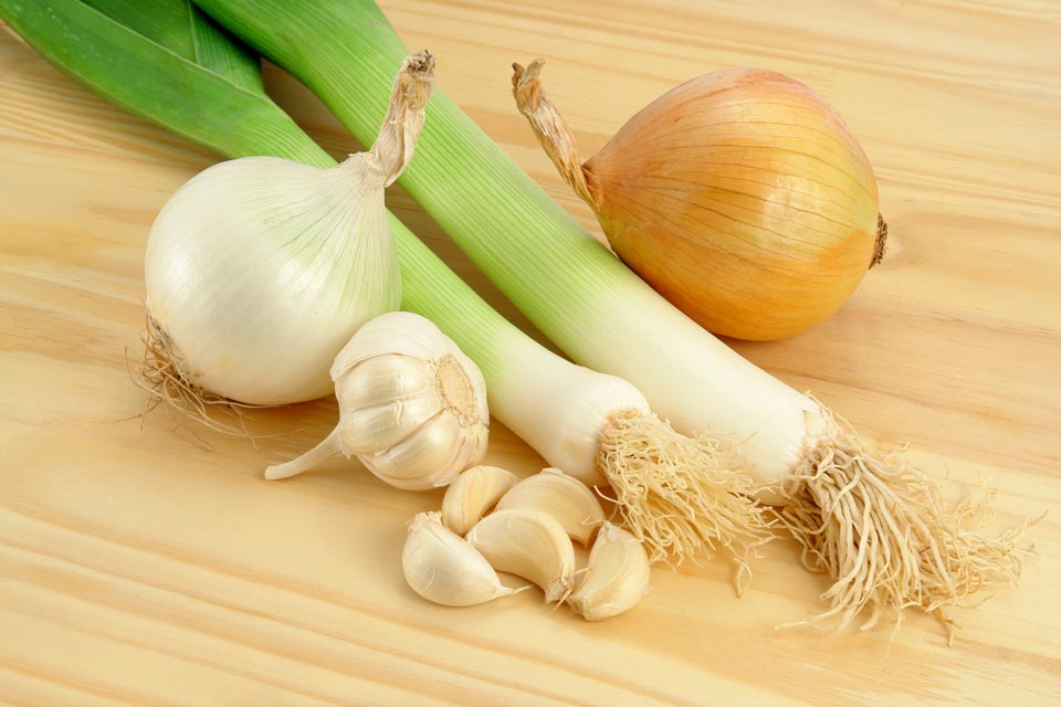 Learn why garlic and onions should not be fed to cats.