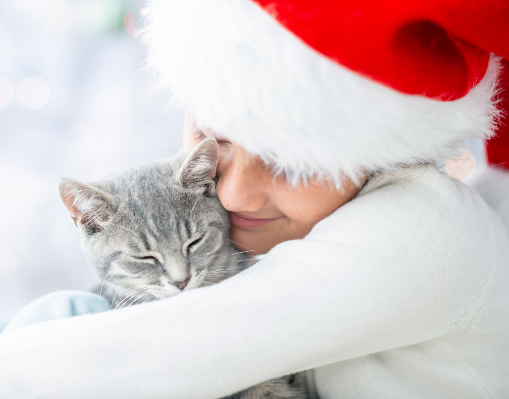 Your cat can be a great holiday host with these tips.