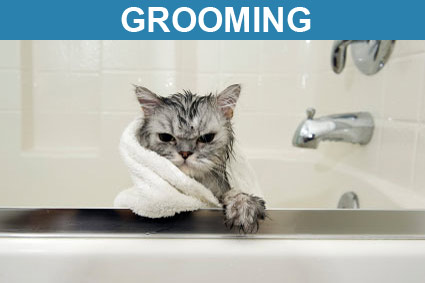 Grooming