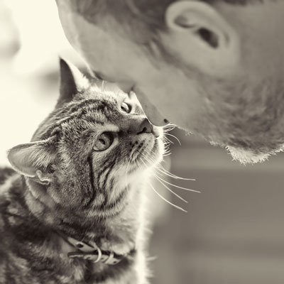 Kidney disease is common in cats. Learn the signs of kidney failure in cats.