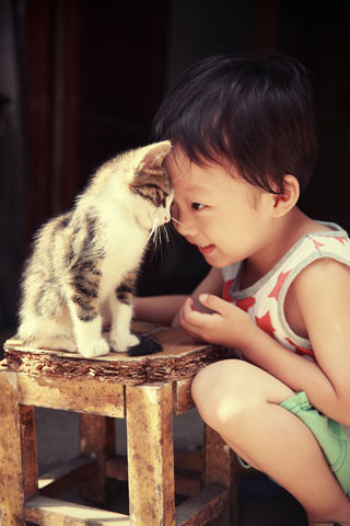 Make sure your cat has spots to retreat. Kids and cats need supervision.