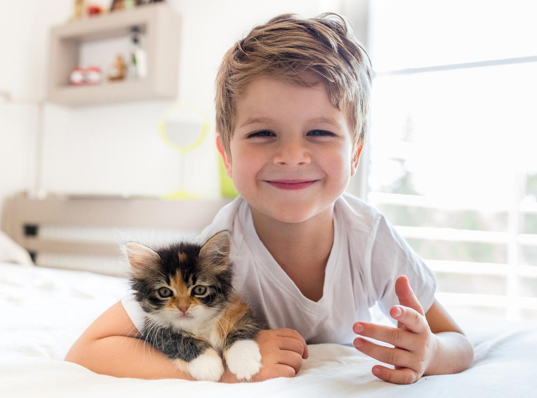 PBDEs in flame retardants may cause health problems for cats and kids. Kids may be at increased risk of problems from flame retardants.