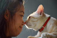 Love and understanding decreases stress in cats.