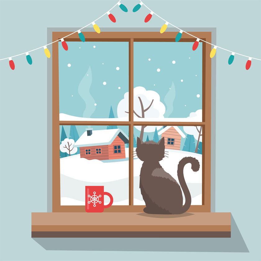 Interactive play relieves stress in cats. Holidays can be stressful to cats.