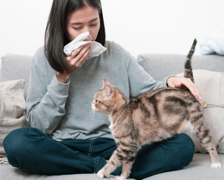 Is there a way for science to make cats not cause humans allergies? Can science figure out how to make cats hypoallergenic?