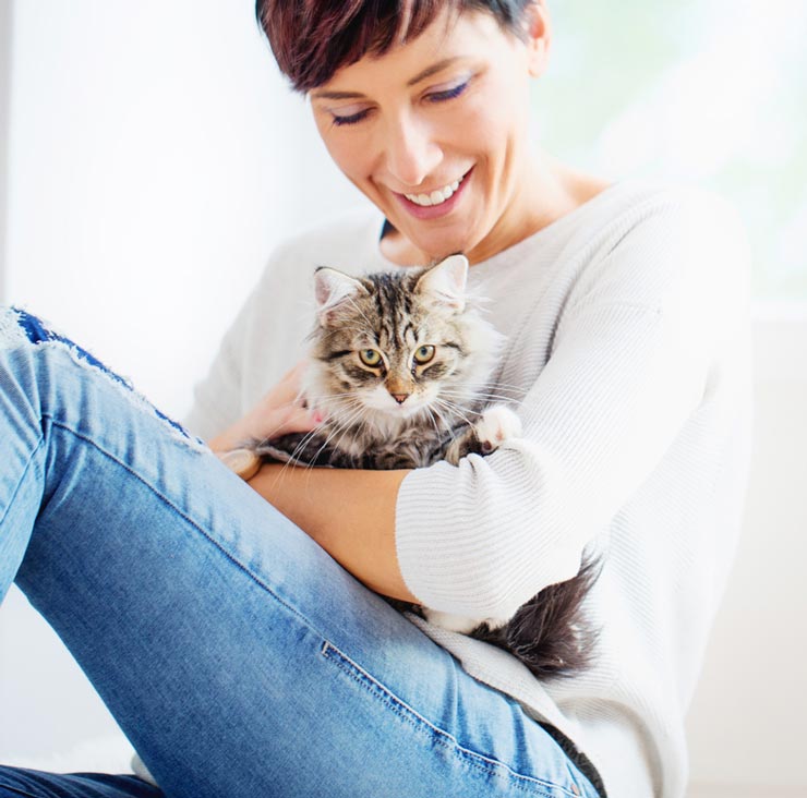 Be diligent about watching your cat for signs of illness. Many serious illnesses in cats can hide undetected for a while.