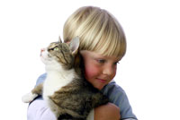 cat_boy