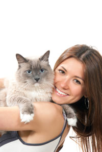 Cat_Home_Care