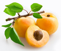 Apricot