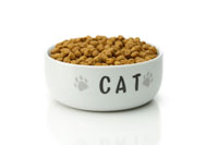 How To Read Cat Food Labels cat_food_labels