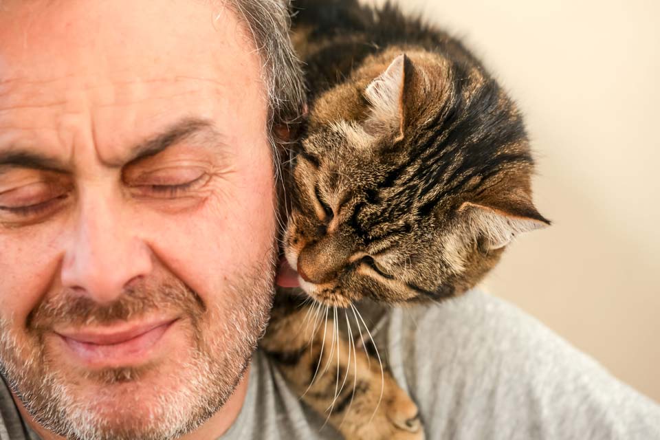 Learn why some cats lick people’s hair.